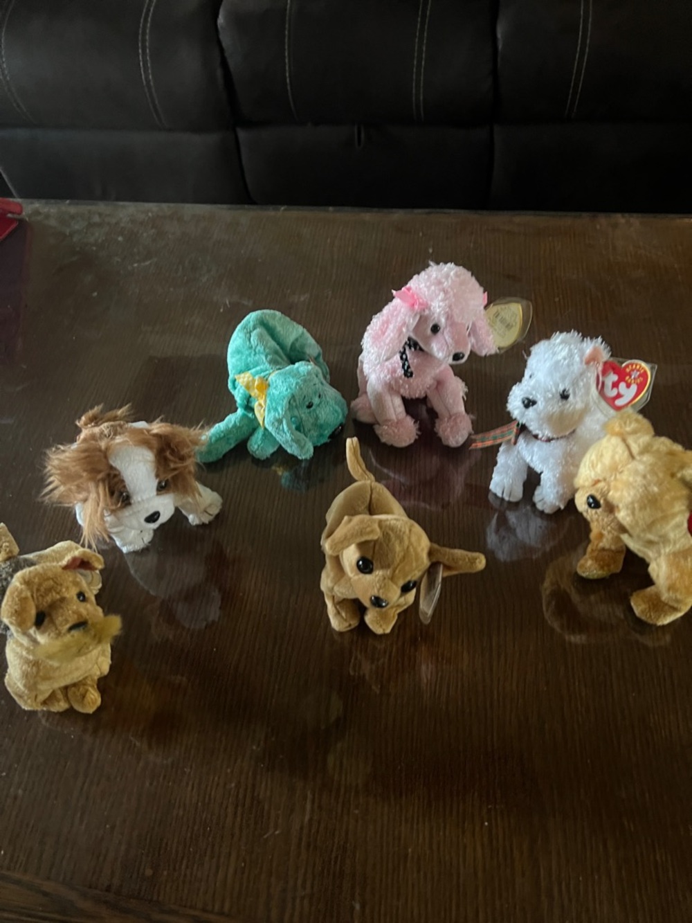 Ty Small Plush Beanie Babies Dog Set